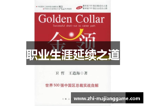 职业生涯延续之道