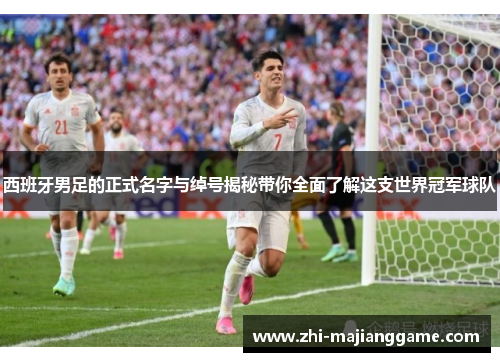 西班牙男足的正式名字与绰号揭秘带你全面了解这支世界冠军球队