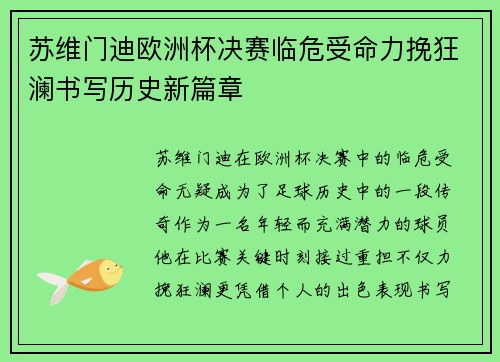 苏维门迪欧洲杯决赛临危受命力挽狂澜书写历史新篇章